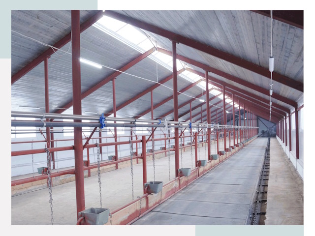 Строительство коровников в Нурлате от 626 руб.