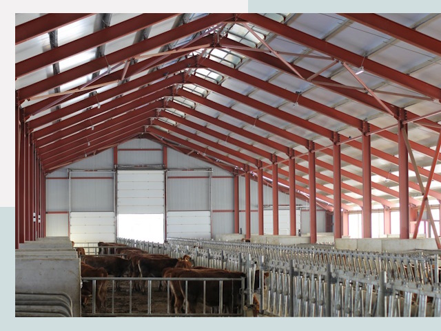 Строительство коровников в Нурлате